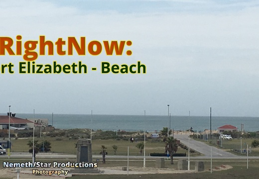 EP08 - #RightNow Port Elizabeth: Beach - Feb 20th 2019